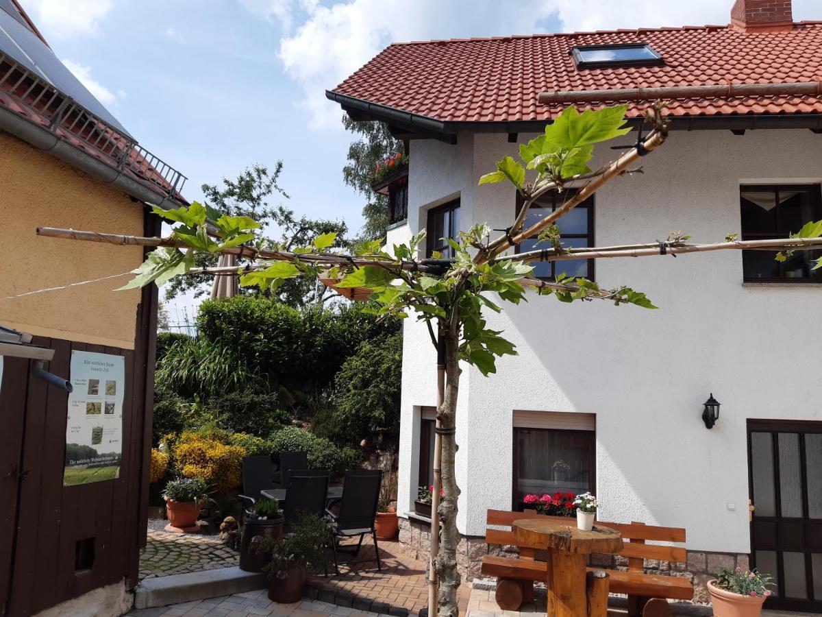 Ferienwohnung Reissmann Heinsdorfergrund المظهر الخارجي الصورة